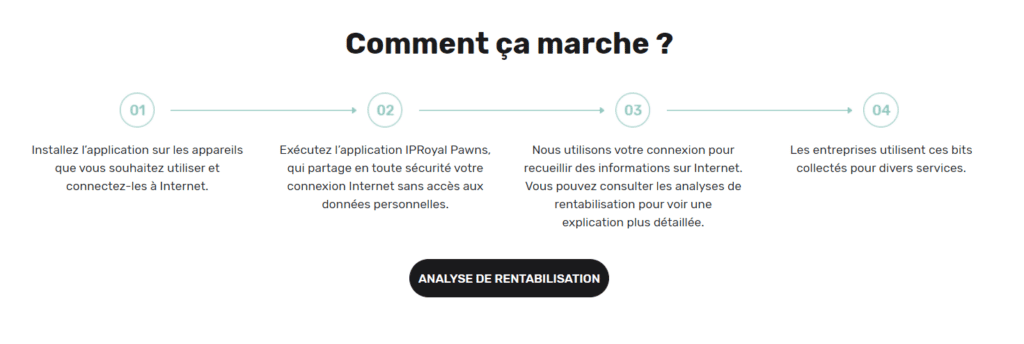 Comment fonctionne IPRoyal Pawns ?