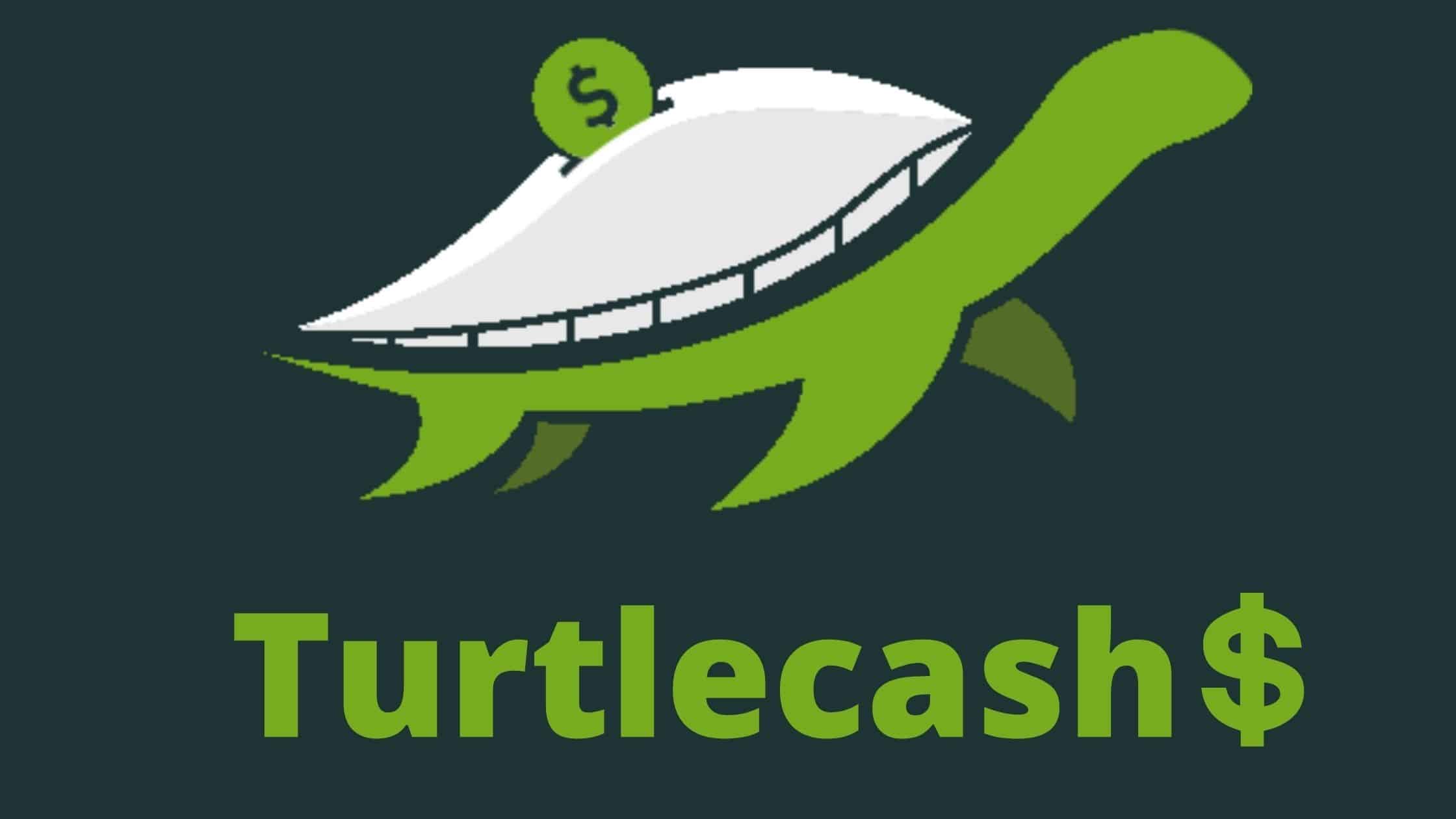 Gagner de l’argent avec Turtlecash.eu : légitime ou arnaque ?